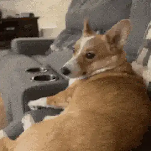 ملصق
