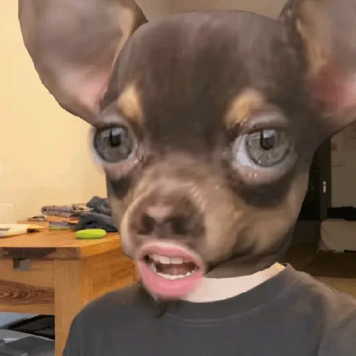 ملصق