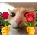 Figurinha