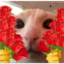 Figurinha