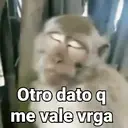 ملصق