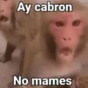 ملصق