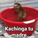 ملصق