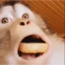 ملصق