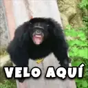 ملصق