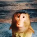 ملصق