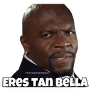 Stika