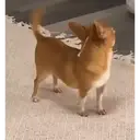 Autocollant