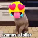 ملصق