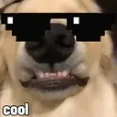 ملصق
