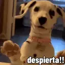 ملصق