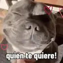 ملصق