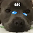 ملصق