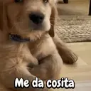 ملصق