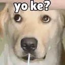 ملصق
