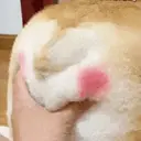ملصق