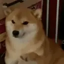 ملصق