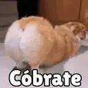ملصق