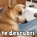 ملصق