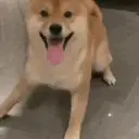 ملصق