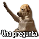 Stika