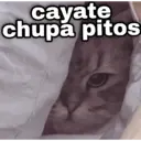 ملصق