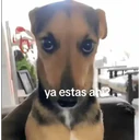 ملصق