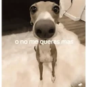 ملصق