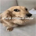 ملصق