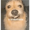 ملصق