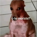ملصق