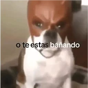 Samolepka