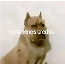 Ngjitës