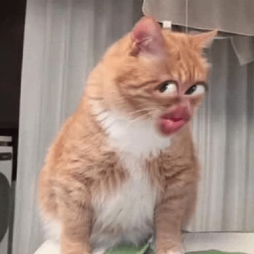 Стикер
