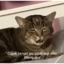 Стикер