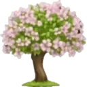 اسٹیکر