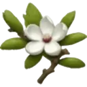 اسٹیکر