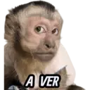 מדבקה