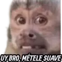 Стикер