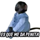 מדבקה
