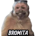 מדבקה