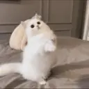 ملصق
