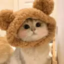 ملصق