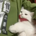 ملصق