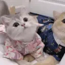 ملصق