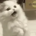 ملصق
