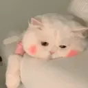 ملصق