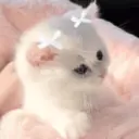 ملصق