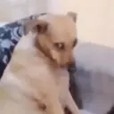 Çıkartma