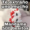 Nhãn dán